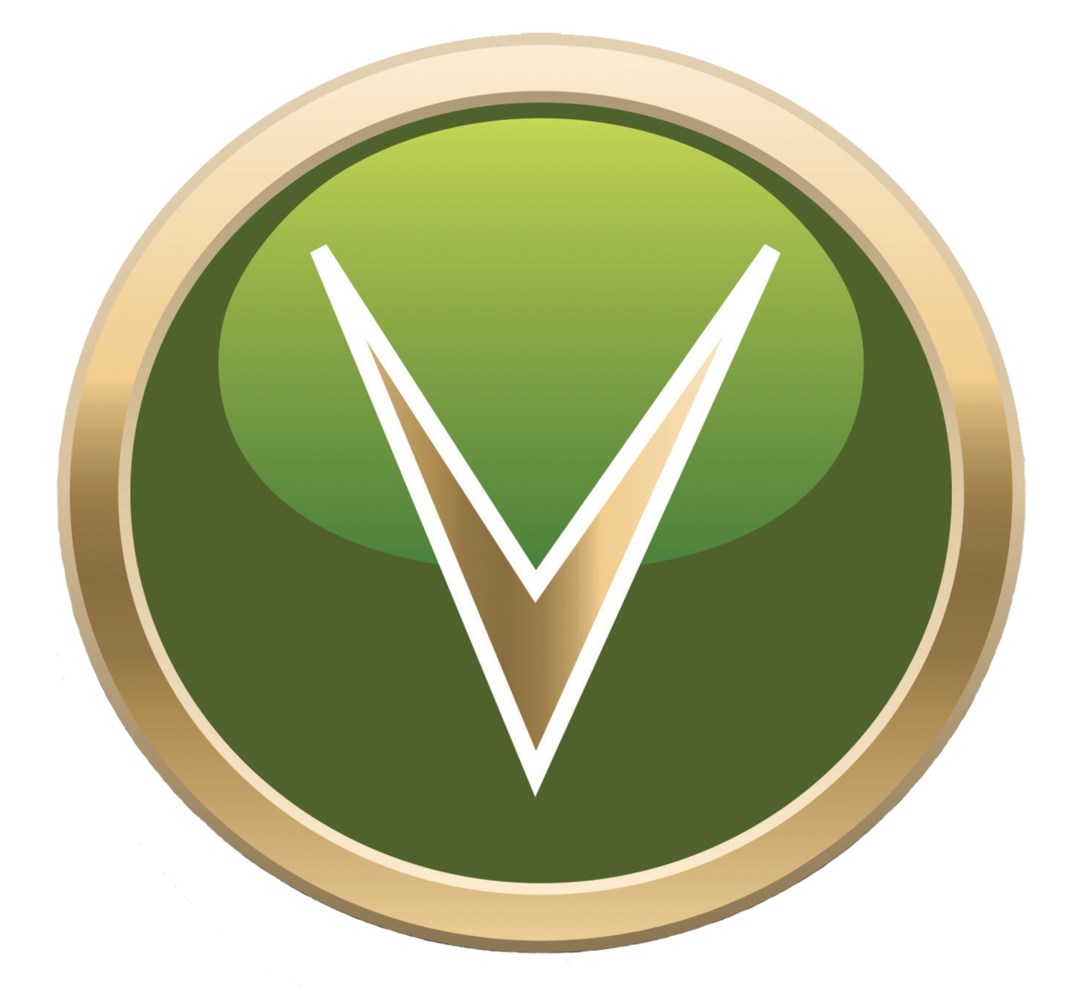 Vanguard Oman Vanguard Systems and Services International Logo